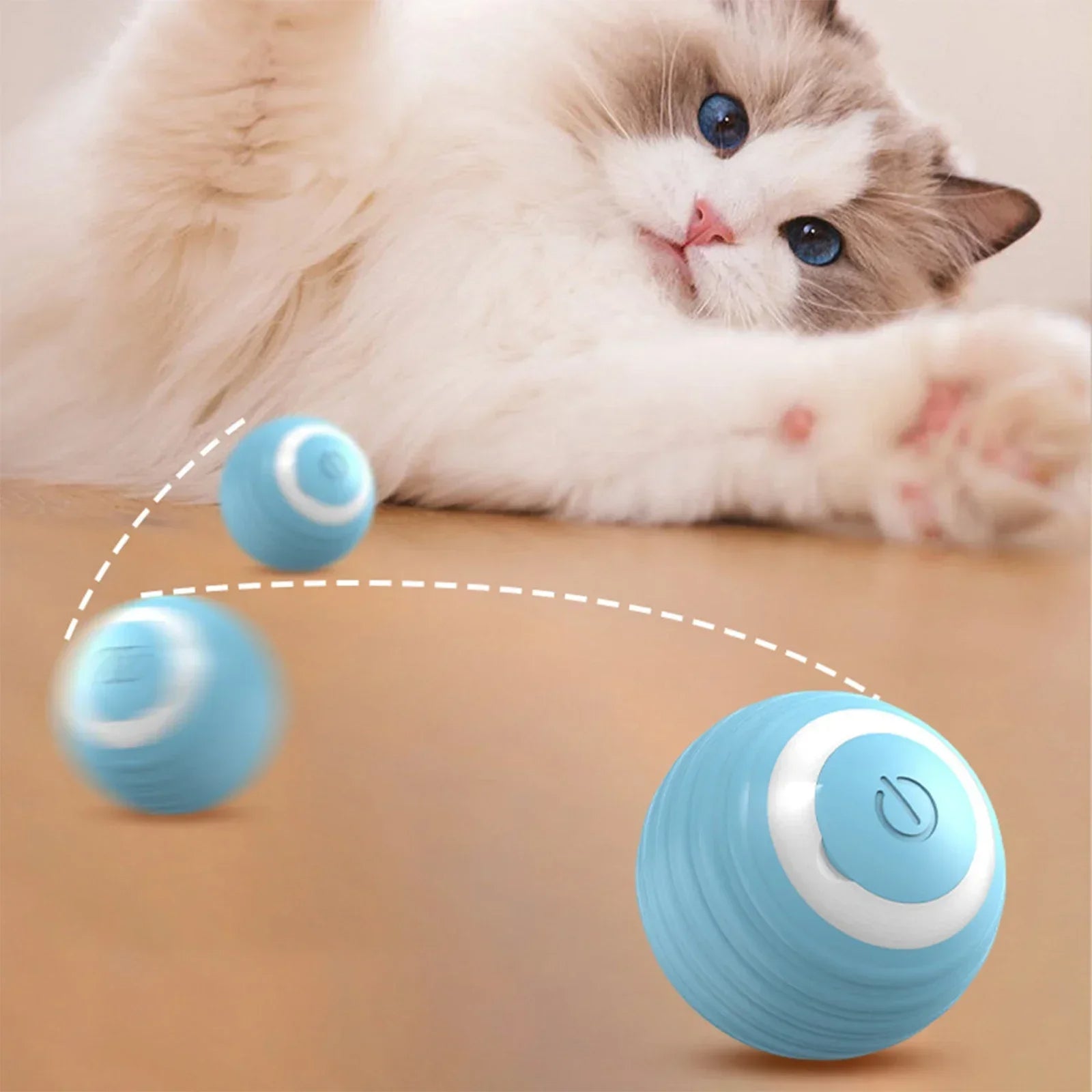 Rechargeable Interactive Moving Ball for Dogs & Cats