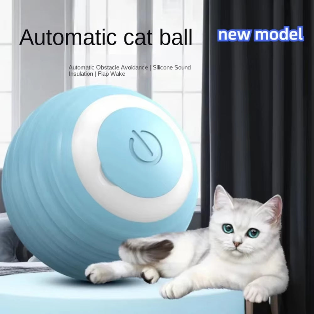 Rechargeable Interactive Moving Ball for Dogs & Cats