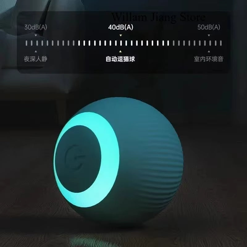 Rechargeable Interactive Moving Ball for Dogs & Cats