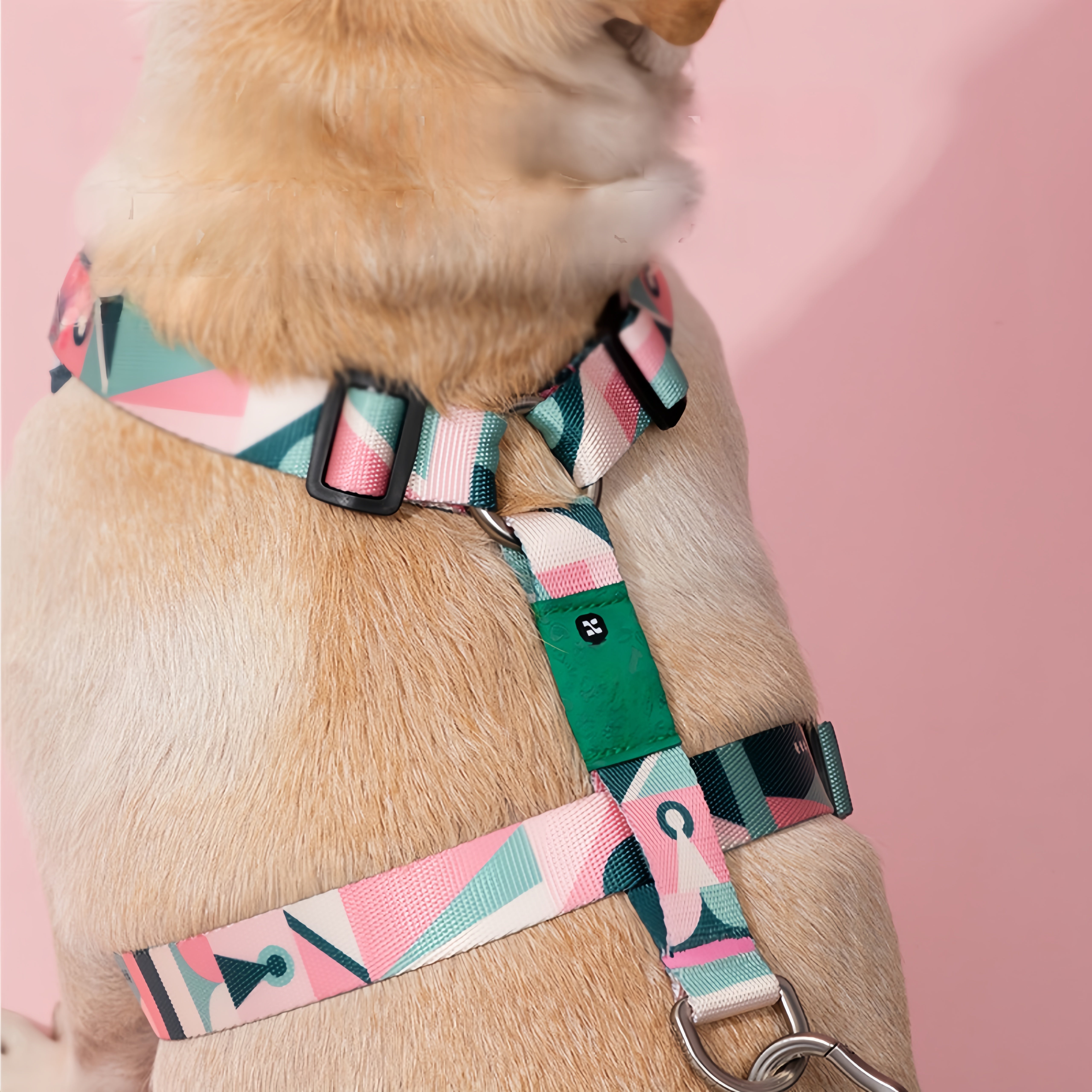 Comfortable and Adjustable Vest-style Dog Harness