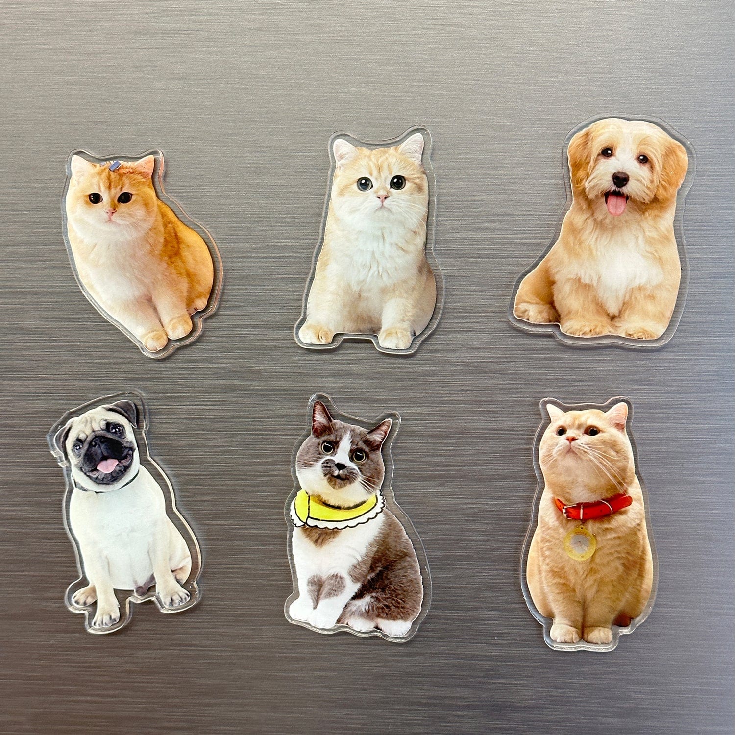 3D Custom Acrylic Pet Fridge Magnet | Strong Magnetic · Waterproof & Vivid Print