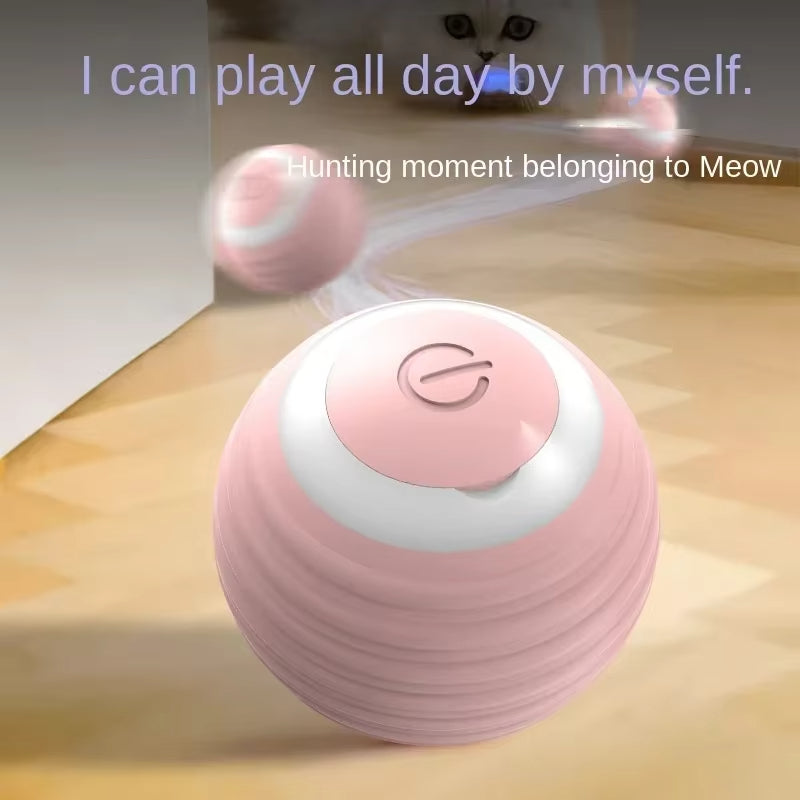 Rechargeable Interactive Moving Ball for Dogs & Cats