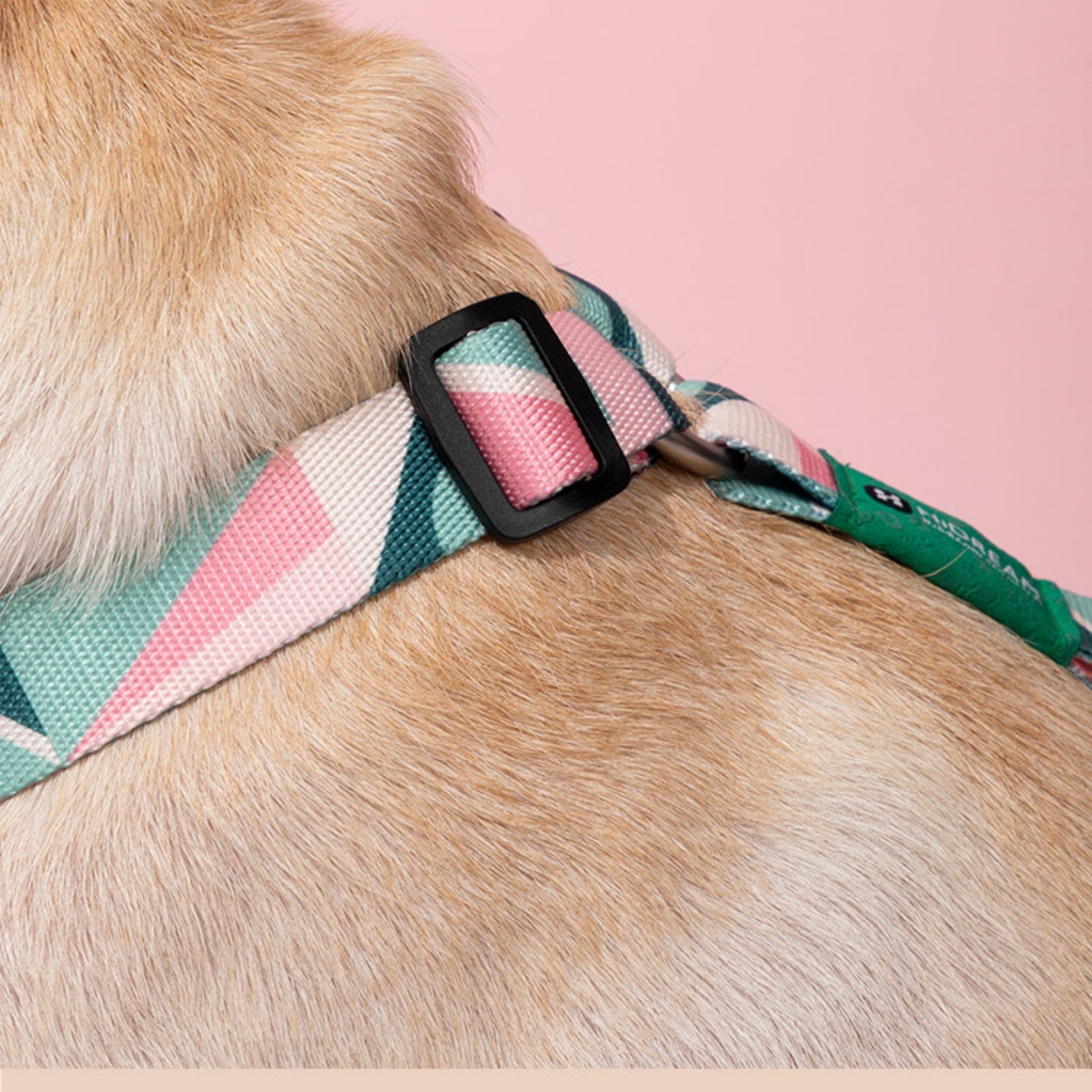 Comfortable and Adjustable Vest-style Dog Harness