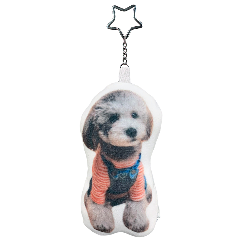 Personalized Plush Pet Keychain, Bag Charm and  Car Interior Decoration