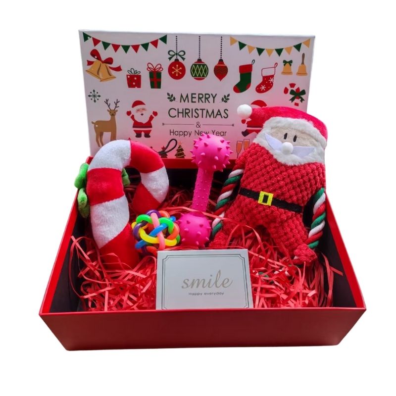 Pet Christmas Gift Box - Plush & Chew Toy Set for Dogs