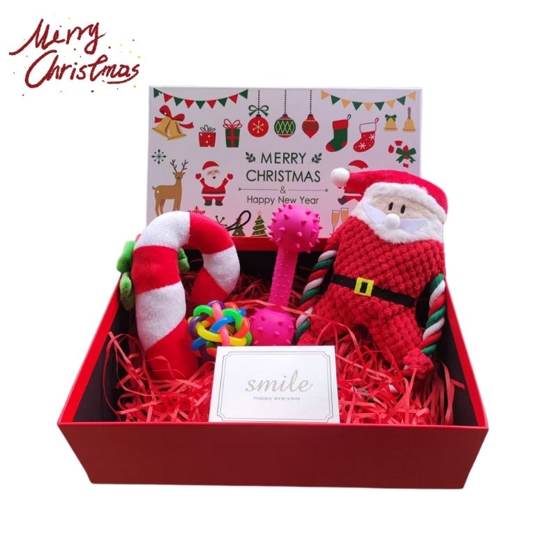 Pet Christmas Gift Box - Plush & Chew Toy Set for Dogs