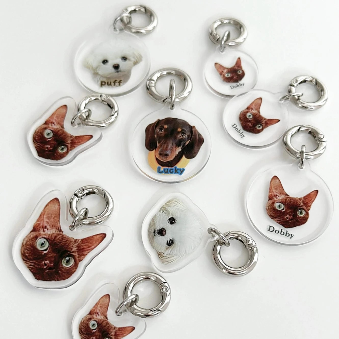 Personalized Pet ID Tag, Custom Acrylic Photo Keychain for Dogs and Cats