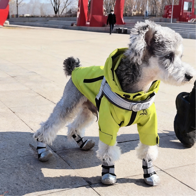 High-Top Dog Rain Boots - Soft Sole, Secure Fit for Border Collie, Golden & Labrador