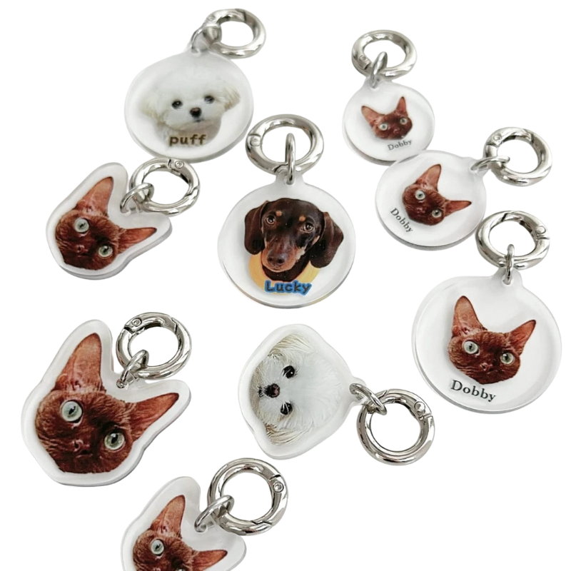 Personalized Pet ID Tag, Custom Acrylic Photo Keychain for Dogs and Cats
