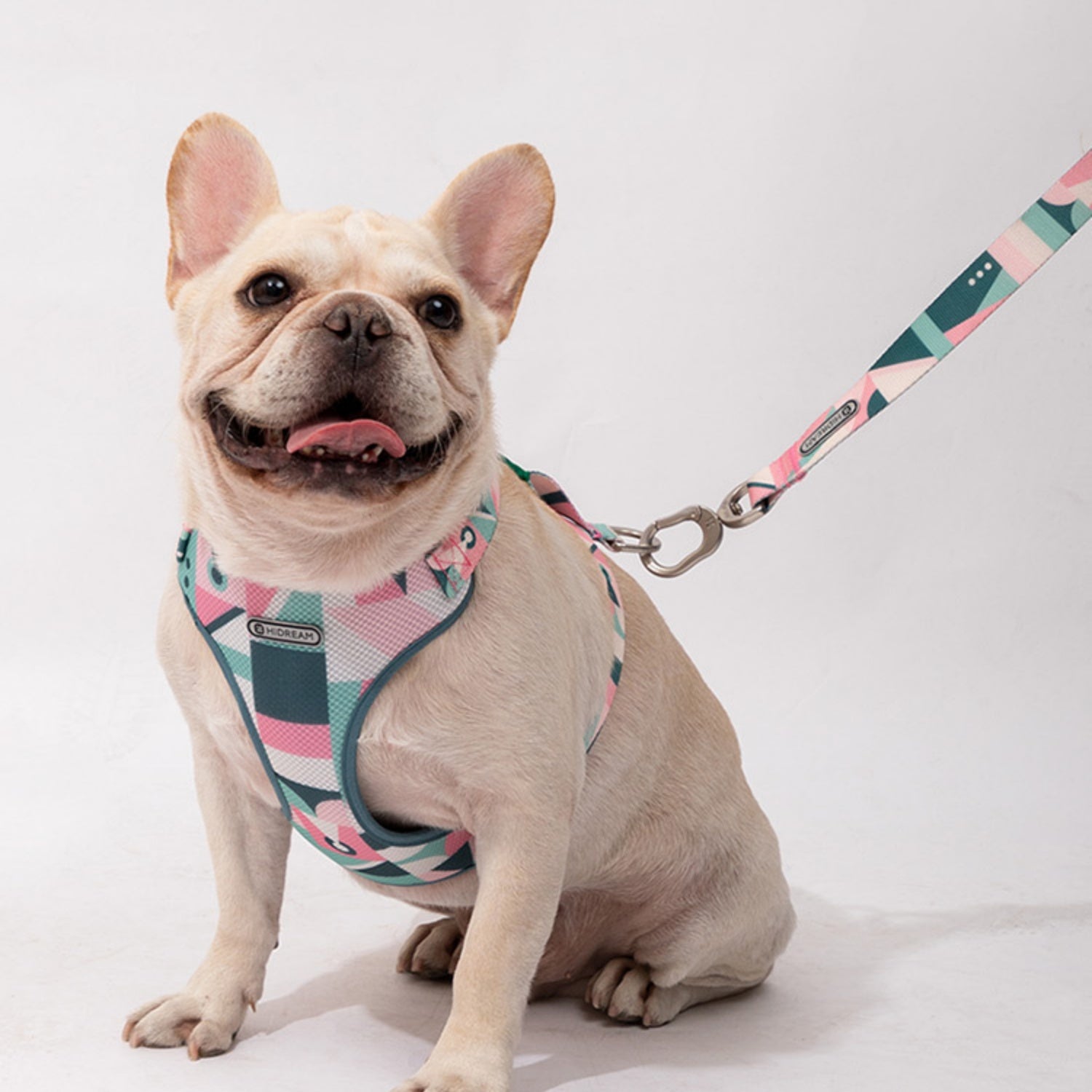 Comfortable and Adjustable Vest-style Dog Harness