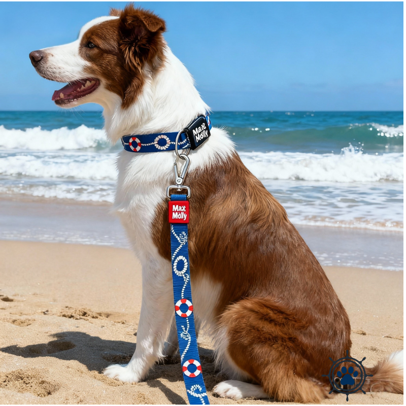 Quick-Dry Soft Dog Collar - Comfortable Non-Choke Imported Collar for Small Dogs like Poodles