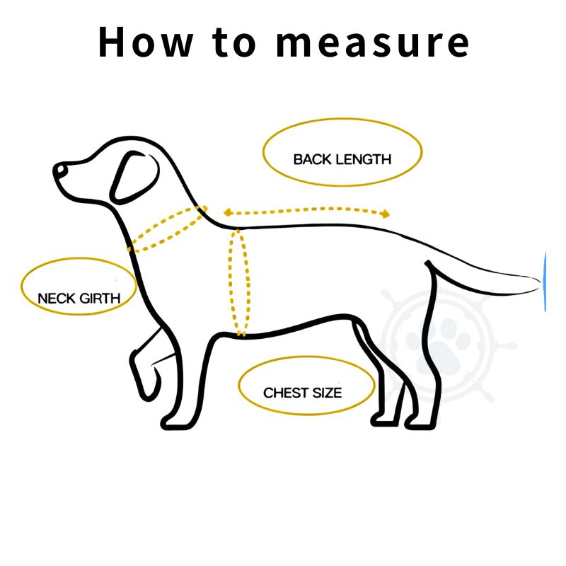 Quick-Dry Soft Dog Collar - Comfortable Non-Choke Imported Collar for Small Dogs like Poodles