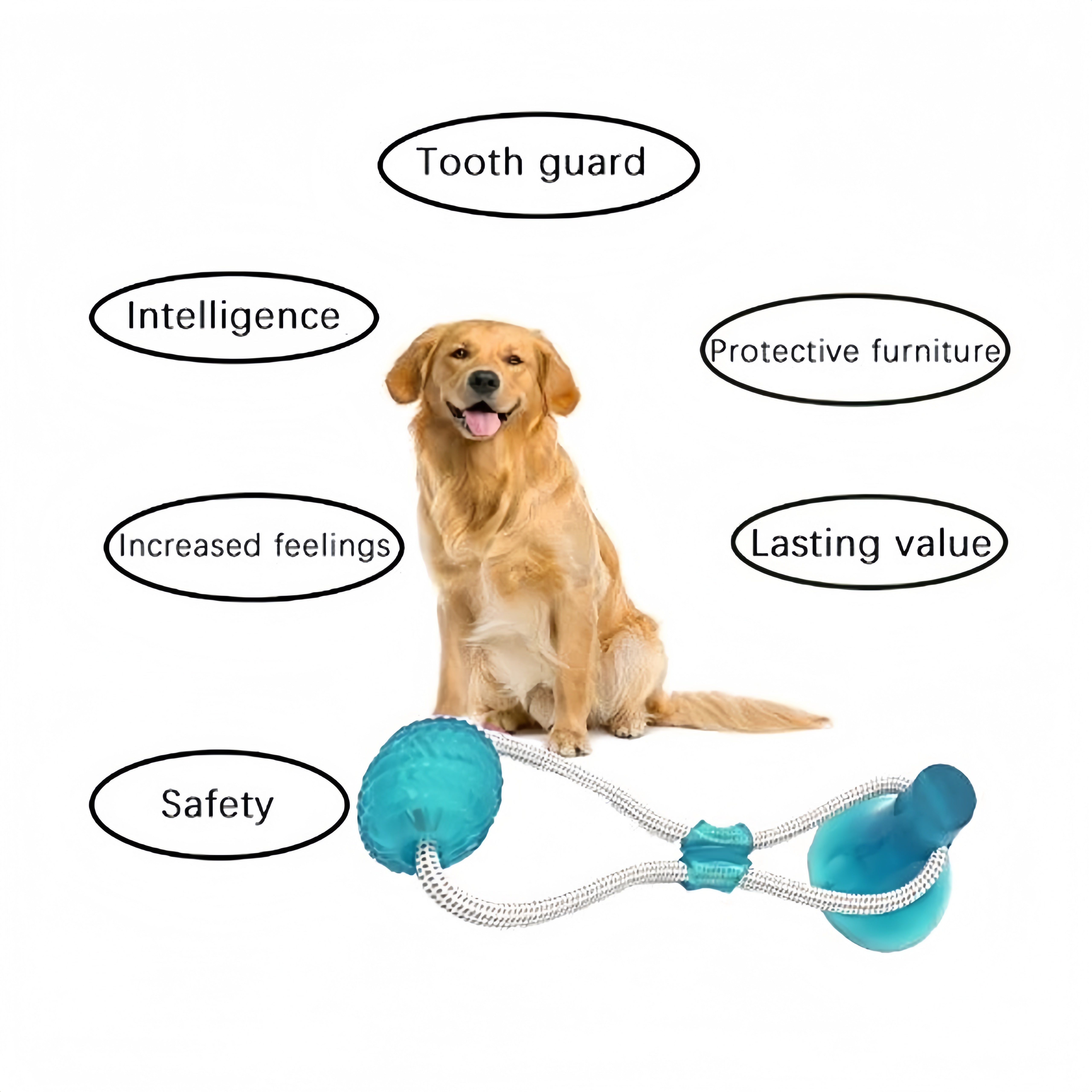 Interactive Suction Toy for Dogs, TPR Material, Fun & Durable for Medium to Large Breeds