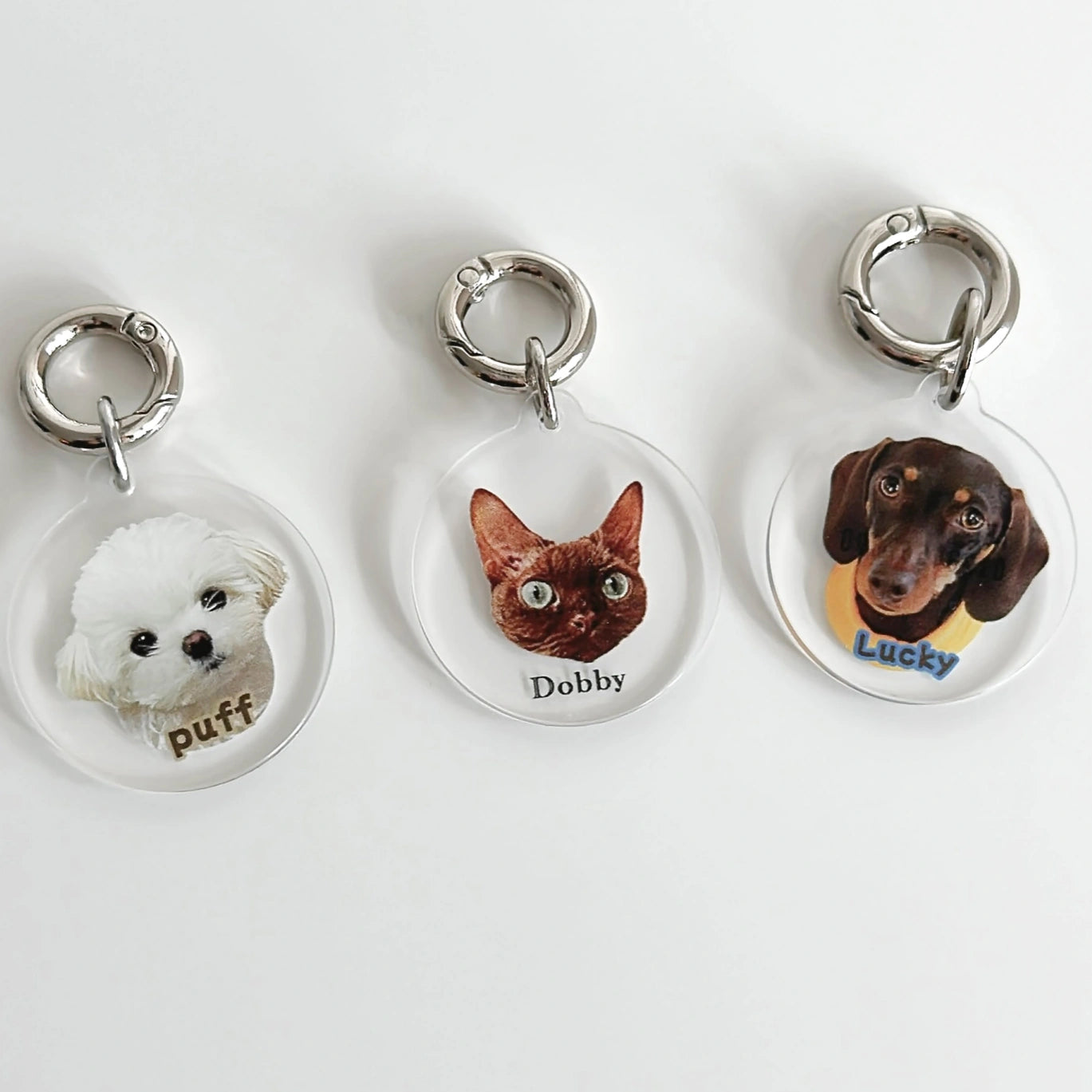 Personalized Pet ID Tag, Custom Acrylic Photo Keychain for Dogs and Cats