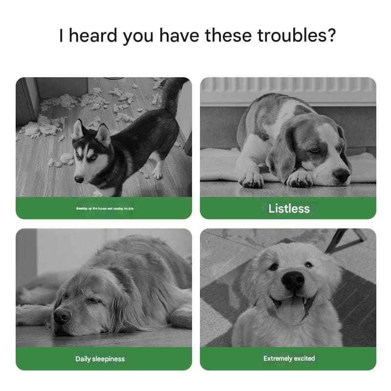 Dog Chew - Proof Soccer Ball – Durable Fetch & Training Toy for Outdoor Play - Colliepawz