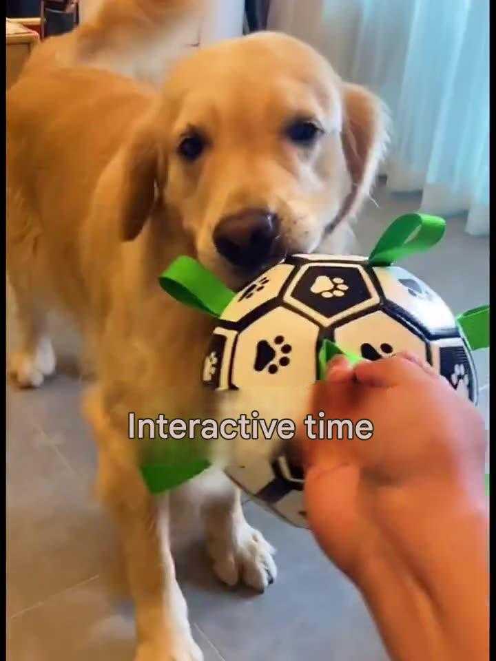 Dog Chew - Proof Soccer Ball – Durable Fetch & Training Toy for Outdoor Play - Colliepawz