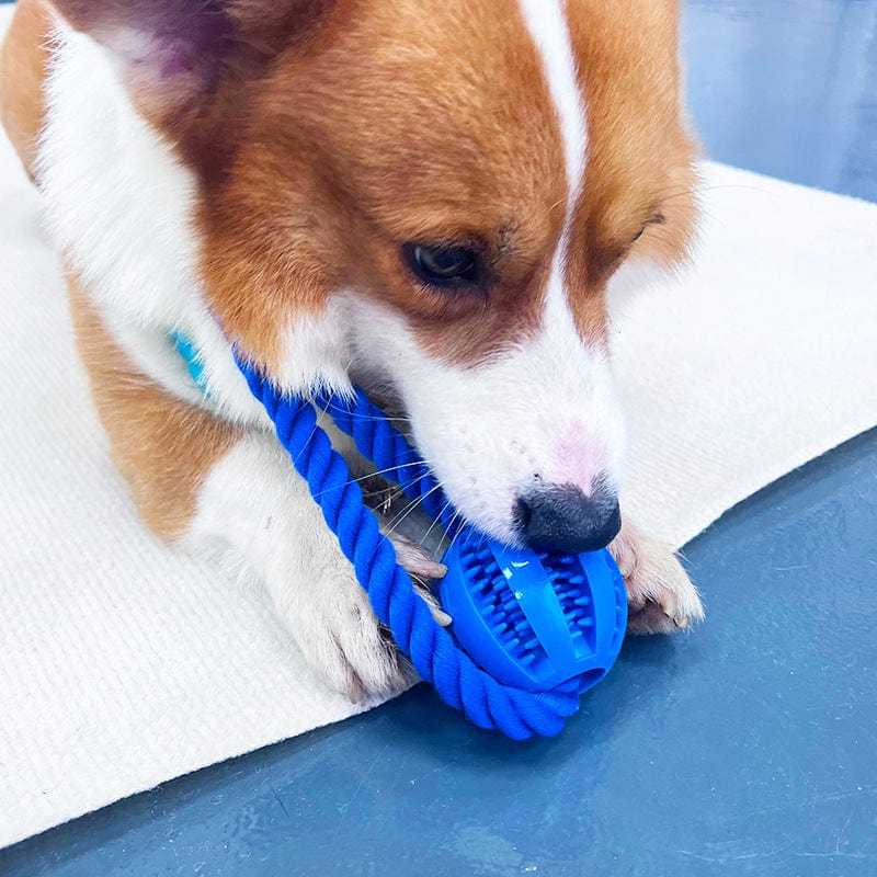 Handwoven Cotton Rope Dog Toy – Durable Chew Toy & Treat Dispenser for Teeth Cleaning and Boredom Relief - Colliepawz