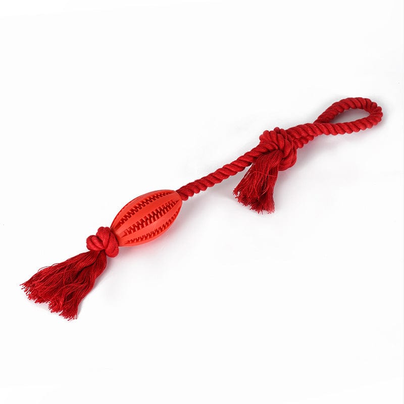 Multicolor Durable Pet Chew Toy | Teeth Cleaning Rope Toy | Washable & Bite - Resistant - Colliepawz