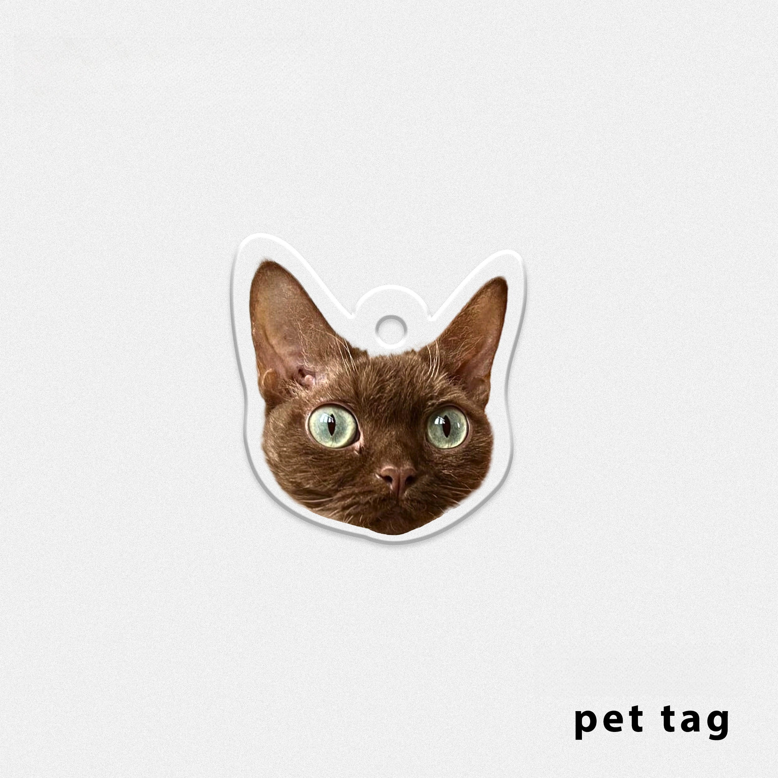 Personalized Pet ID Tag, Custom Acrylic Photo Keychain for Dogs and Cats