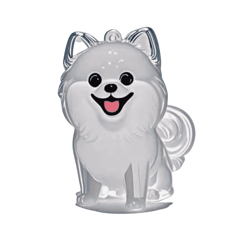Pet Fur Memory Capsule with Keychain - Clear Acrylic Hair Storage for ...