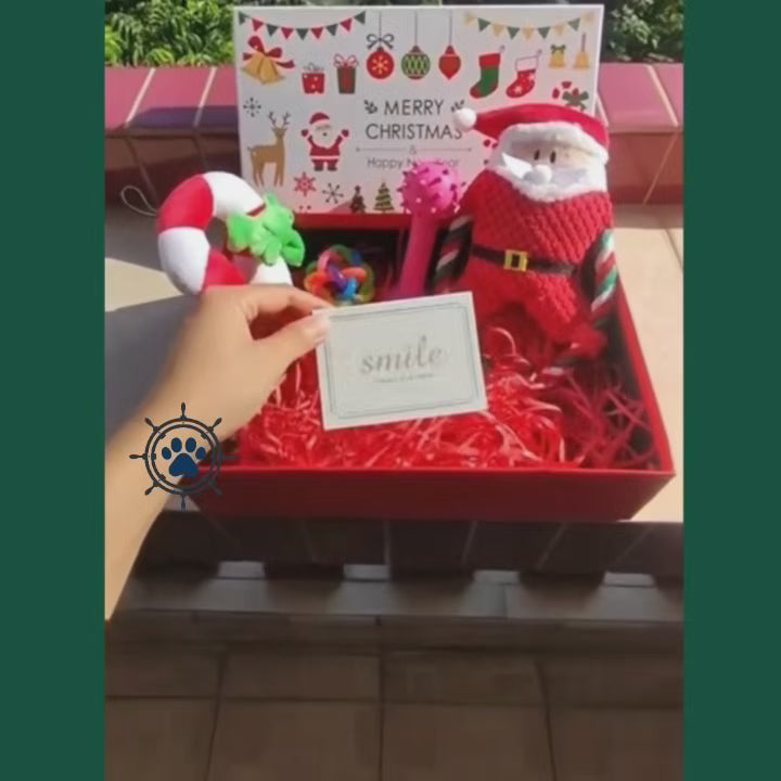 Pet Christmas Gift Box - Plush & Chew Toy Set for Dogs