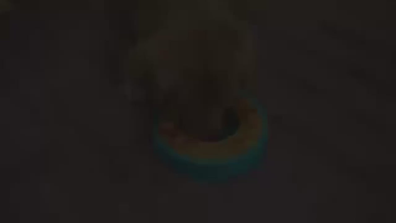 New Dog Puzzle Toy Slow Feeder Interactive Increase Puppy IQ Food Dispenser Slowly Eating NonSlip Bowl Pet Cat Dog Training Game