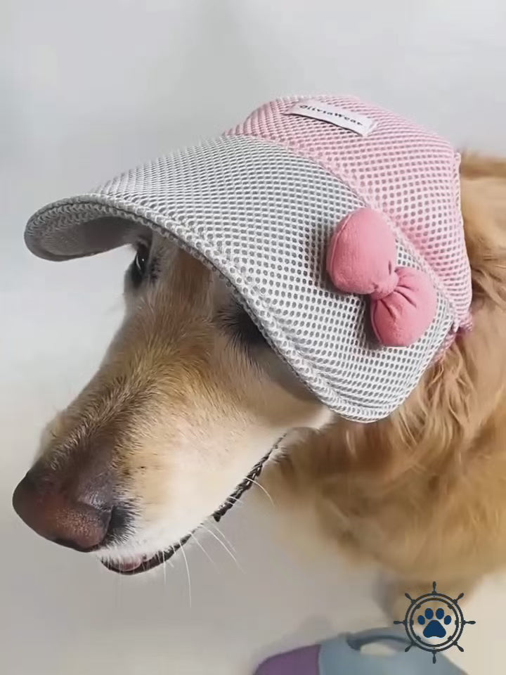 Breathable Mesh Dog Baseball Cap - UV  Protection & Cute Summer Hat