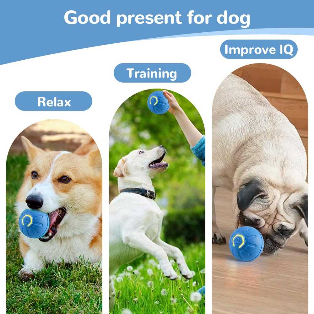 Smart Jumping Ball Pet Toy - Colliepawz